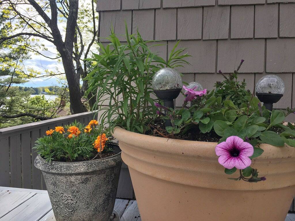 Panoramablick auf das Wasser nach Hause in Kittery, York County