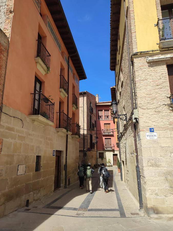Casa palaciega Doña Leocadia in Viana, Province de Navarra