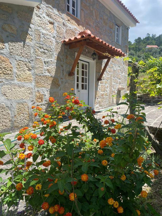 Location de vacances pour 5 personnes, avec jardin et terrasse à Oliveira de Frades - 2