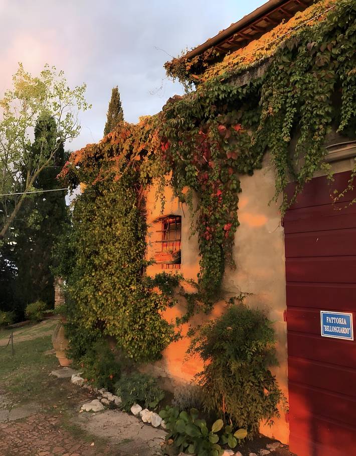 Appartamento intero, Agriturismo “Fattoria Bellosguardo”, appartamento 'mangiatoia' in Castelfiorentino, Firenze province