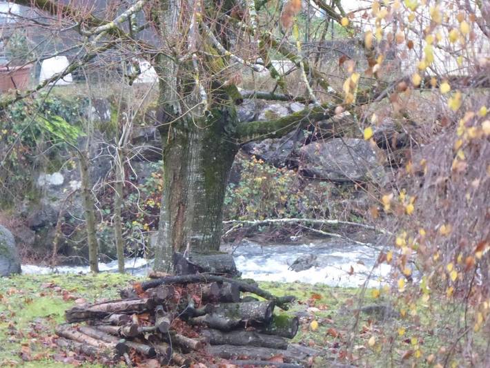 Gîte pour 2 personnes, avec jardin et vue à Argelès-Gazost - 3