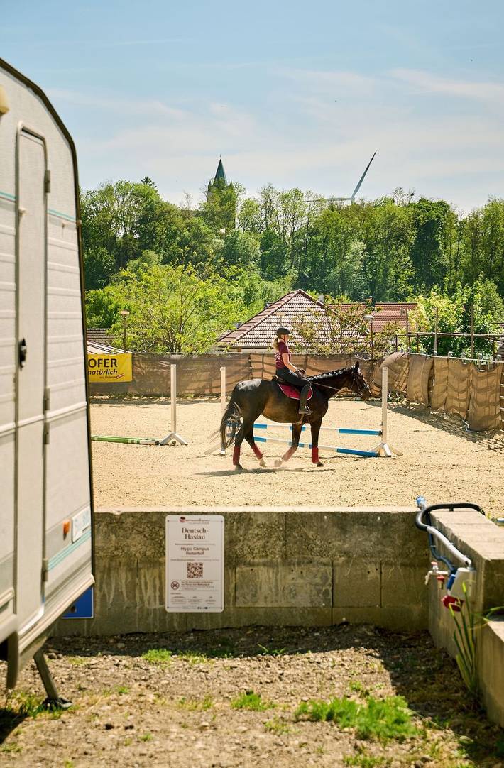 Hippo-Campus - Urlaub am Pferdehof - Familienzimmer in Deutsch-Haslau, Bezirk Bruck an der Leitha