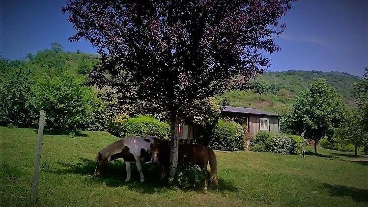 Gîte pour 4 personnes, avec piscine ainsi que jardin et vue, animaux acceptés dans Clairvaux-d'Aveyron