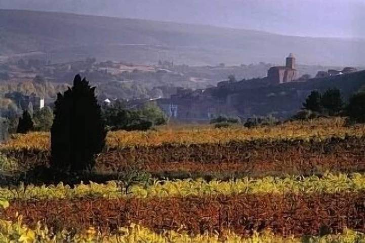 Gîte pour 4 personnes, avec terrasse et jardin dans Gorges du Verdouble - 4
