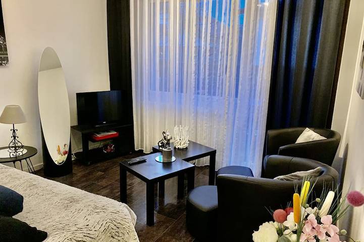 Ganze Wohnung, Schöne T1 30 m2, gated, in der Nähe der Innenstadt, einen privaten Parkplatz. Wi-Fi in Thonon-les-Bains, Thonon-les-Bains und Umgebung