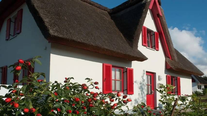 Ferienhaus für 4 Personen, mit Terrasse und Garten in Dassow - 2