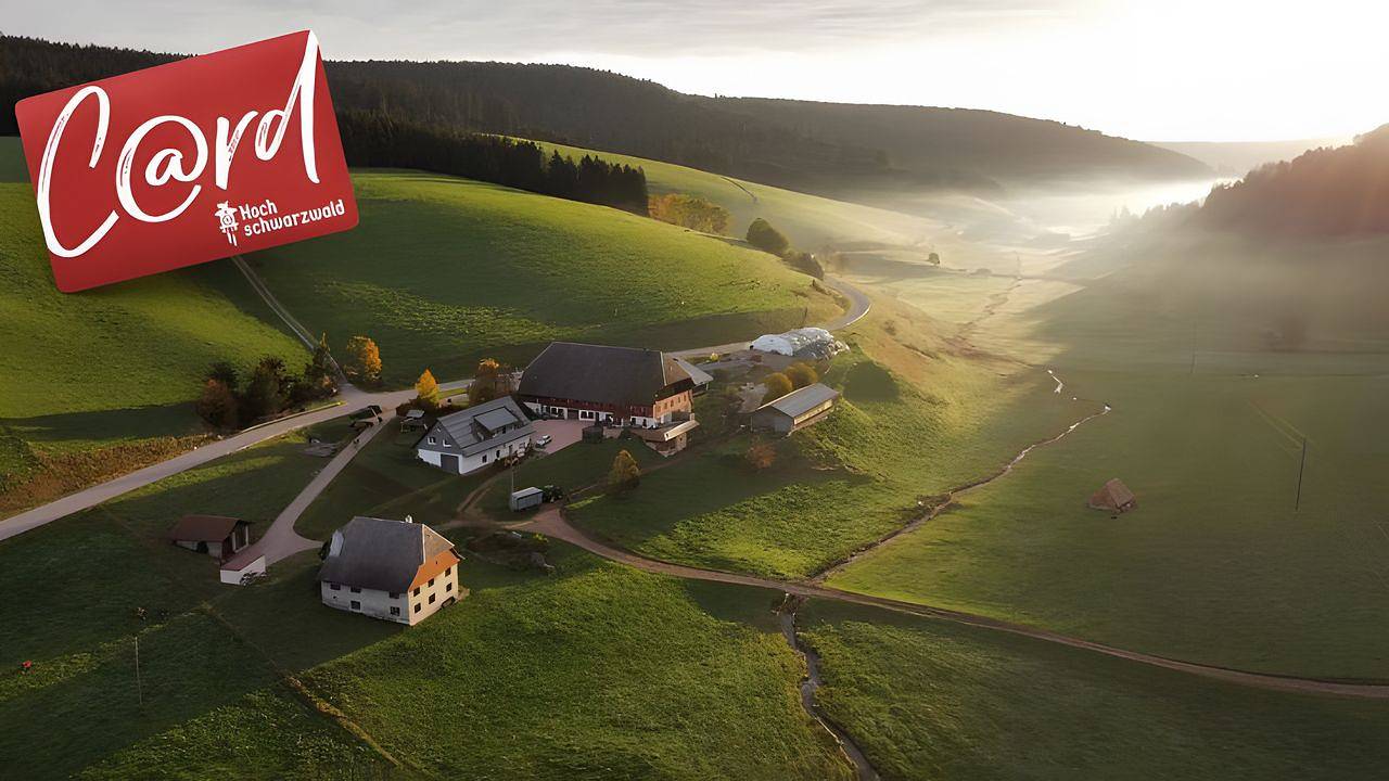Ganze Ferienwohnung, Ferienwohnung für 4 Personen (80 m²) in Eisenbach in Suedlicher Schwarzwald, Eisenbach
