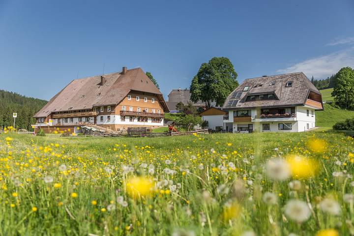 Ganze Ferienwohnung, Unterhöfenhof - Ferienwohnung "Eichhörnchen", 70qm, 2 Schlafzimmer, max. 4 Personen in Jostal (Titisee-Neustadt), Titisee-Neustadt