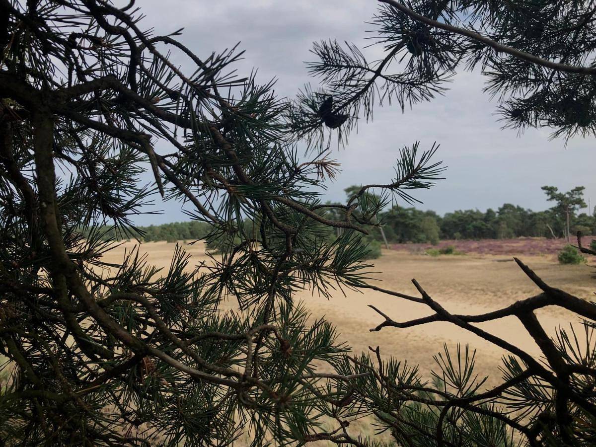 Het Natuurhuisje op de Veluwe in Nunspeet, Veluwe