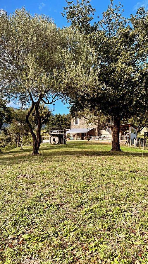Gîte pour 4 personnes, avec vue et jardin, animaux acceptés à San-Giuliano - 3