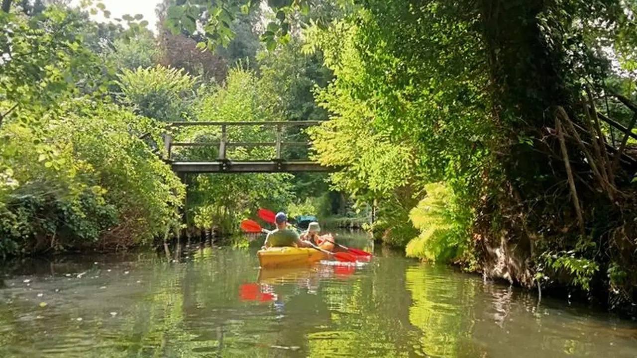 Doppelzimmer für 2 Personen in Lübben (Spreewald) in Lübben, Dahme - Spreewald region