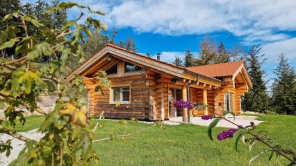Ferienhaus für 3 Personen, mit Garten, mit Haustier in Passauer Land