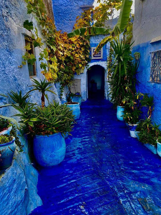 Hôtel pour 3 personnes, avec terrasse à Chefchaouen - 4