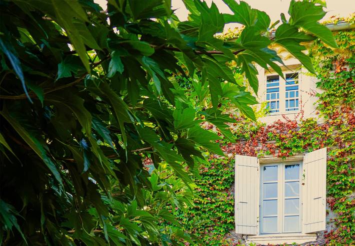 Gastenkamer 'Suite 55' met wifi in Tulette, Nyons en omgeving