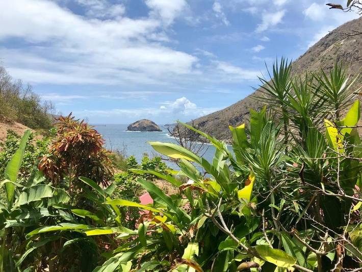 Location de vacances pour 8 personnes, avec vue et jardin dans Anse Rodrigue Terre De Haut - 2