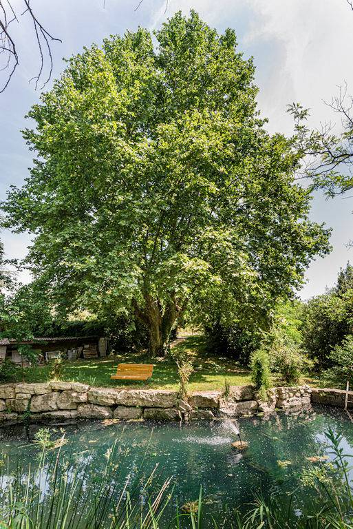 Gîte pour 4 personnes, avec jardin ainsi que terrasse et piscine en Ardèche - 3