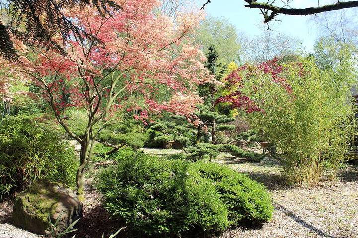 Maison de vacances pour 16 personnes, avec jardin et jacuzzi - 1