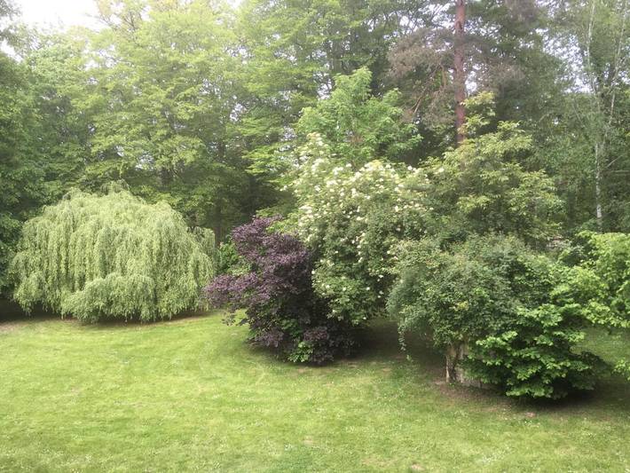 Location de vacances pour 14 personnes, avec jardin et vue, animaux acceptés à Bois-le-Roi - 2