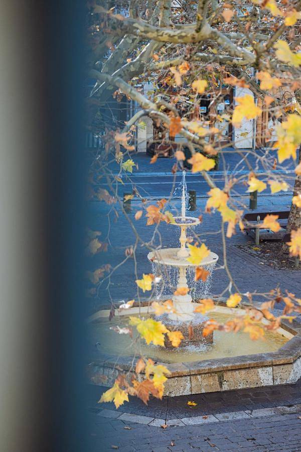 Gîte pour 4 personnes, avec vue, animaux acceptés dans Office De Tourisme De Pays Des Vallees D Ax - 2