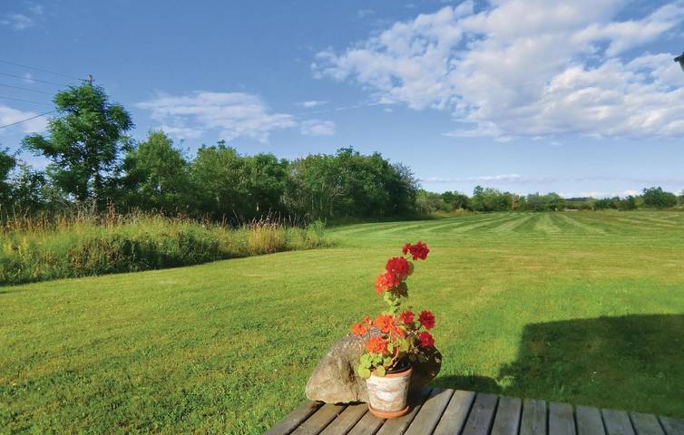 Ferienhaus für 4 Personen, mit Terrasse und Garten, mit Haustier auf Öland - 4