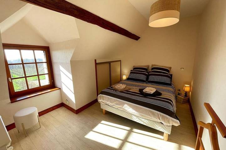 Gîte pour 6 personnes, avec jardin à Benais - 3