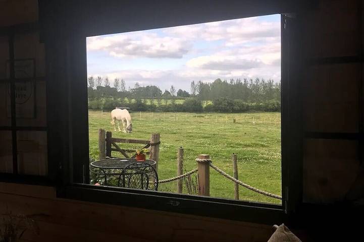 Cabane en bois pour 2 personnes, avec jardin ainsi que terrasse et jacuzzi - 1