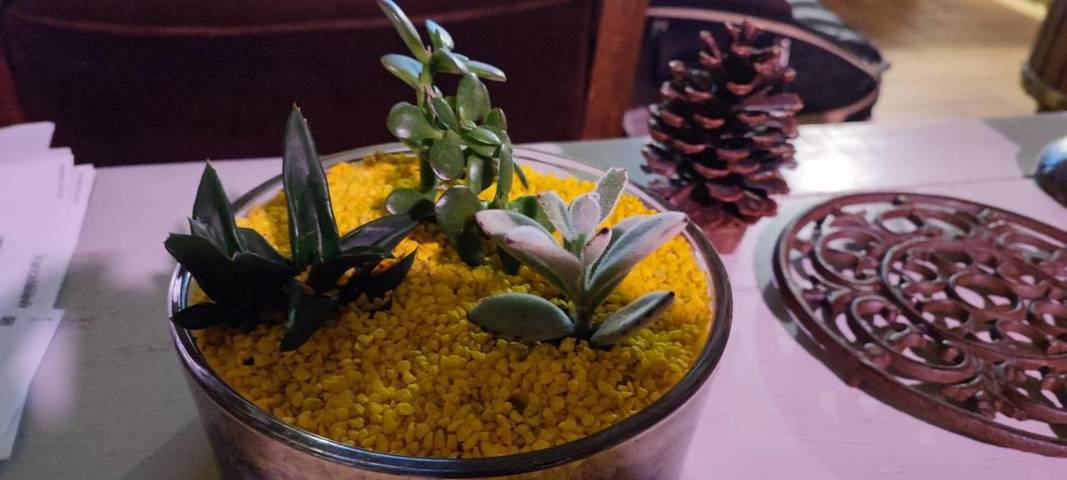 Location de vacances pour 6 personnes, avec vue et terrasse à Crouttes - 4