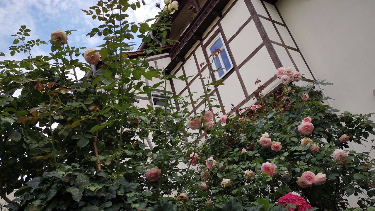Apartamento vacacional entero, Ferienwohnung für 5 Personen (100 m²) in Weißensee in Corazón de Turingia