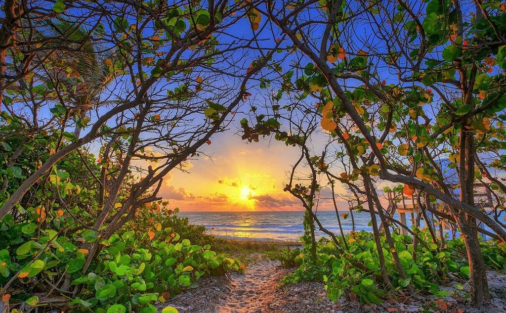 Ganze Wohnung, Praktisch am Strand, gehen Sie einfach über den Carlin Park zum Sand !! ❤️💛💚 in Jupiter, Palm Beach County