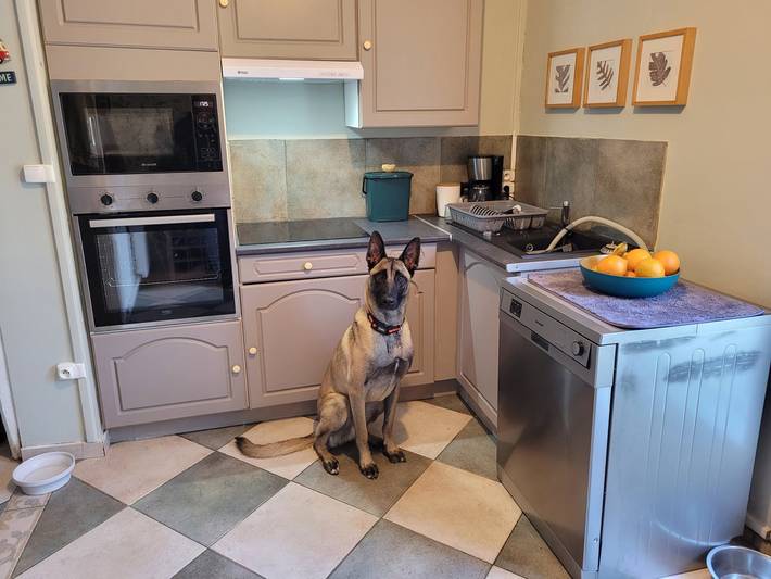 Gîte pour 6 personnes, avec jardin et terrasse, animaux acceptés dans la Somme - 2