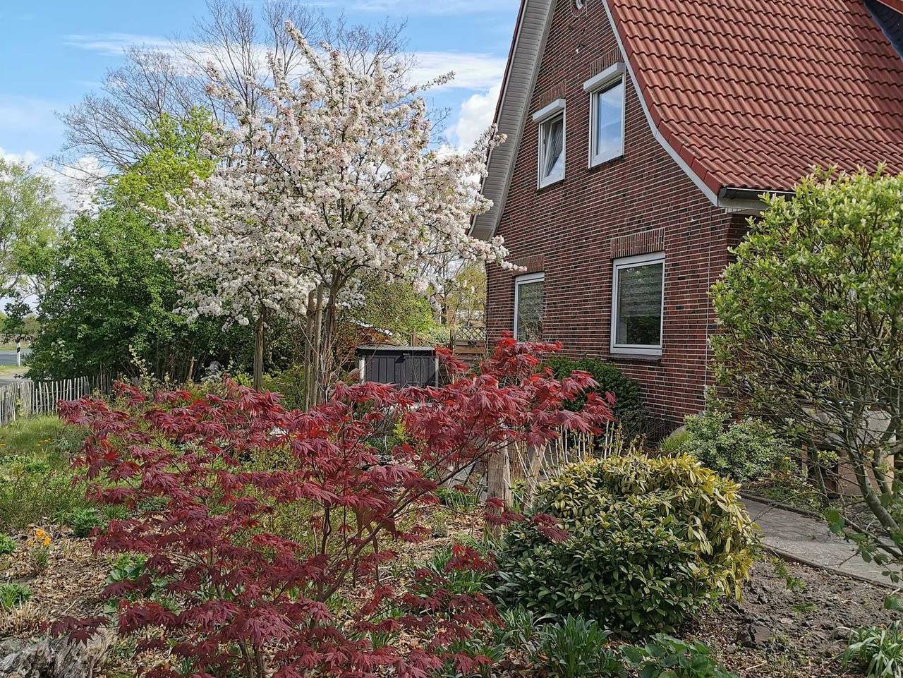 Ferienhaus Landblick in Samtgemeinde Fredenbeck, Cuxland