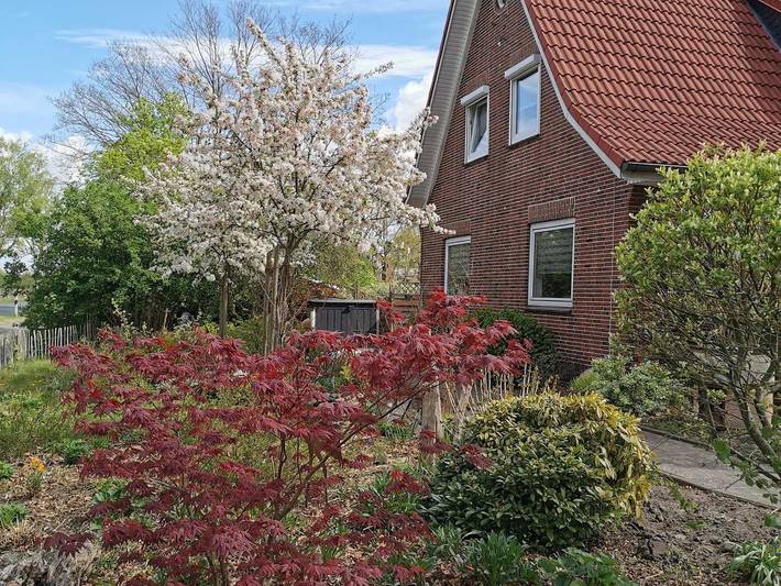 Ferienhaus für 6 Personen, mit Garten und Sauna, mit Haustier in Altes Land Stade - 2