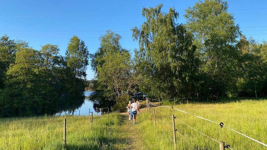 Chambre d’hôte pour 6 personnes, avec jardin et vue, animaux acceptés en Suède - 2