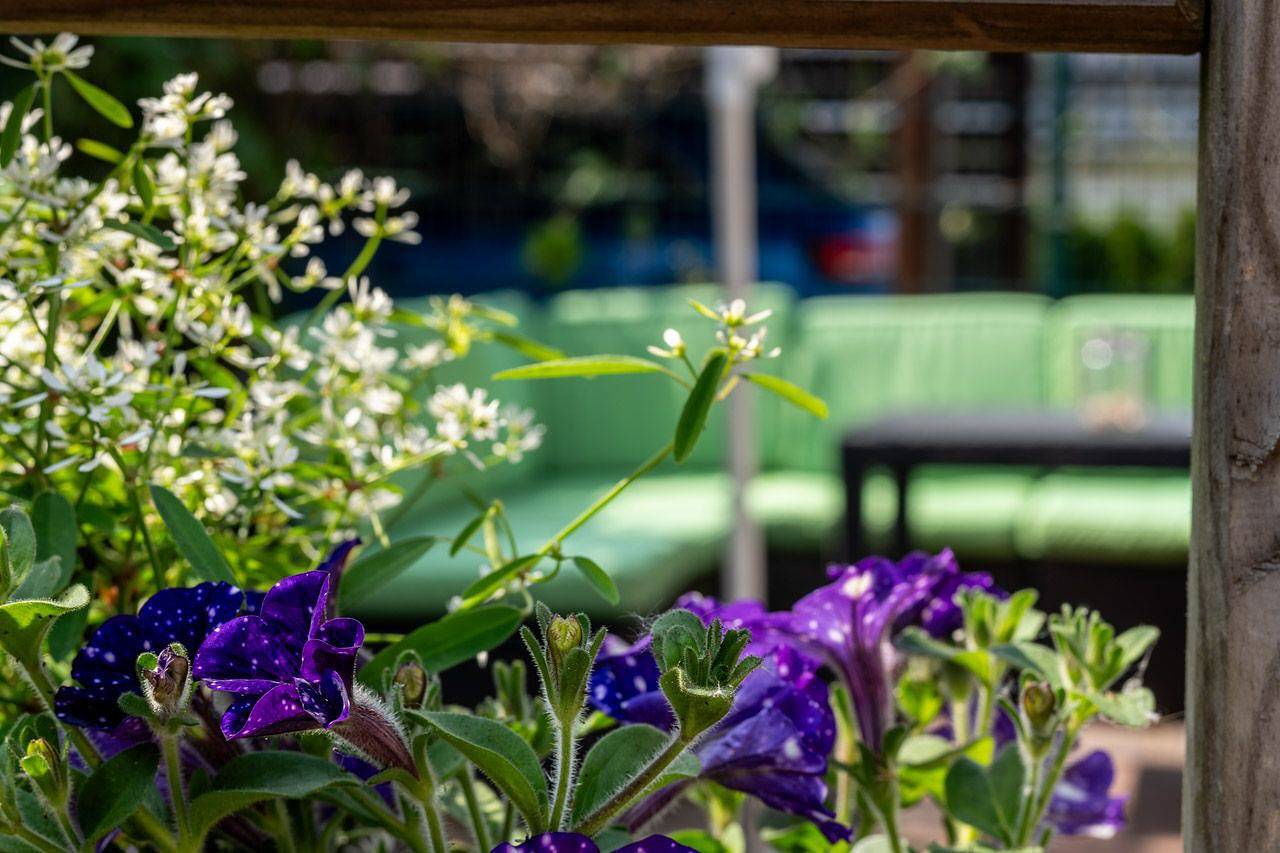 Ganze Wohnung, Familienfreundliche Ferienwohnung mit Terrasse, Grill und Waldnähe in Priborn in Priborn, Müritz