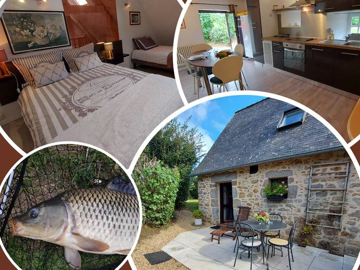 Gîte pour 3 personnes, avec Terrasse et Jardin dans Alexain