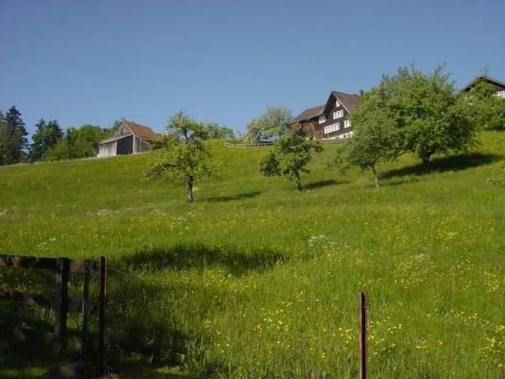 Ferienhaus für 6 Personen, mit Garten, mit Haustier am Bodensee (Schweiz) - 2