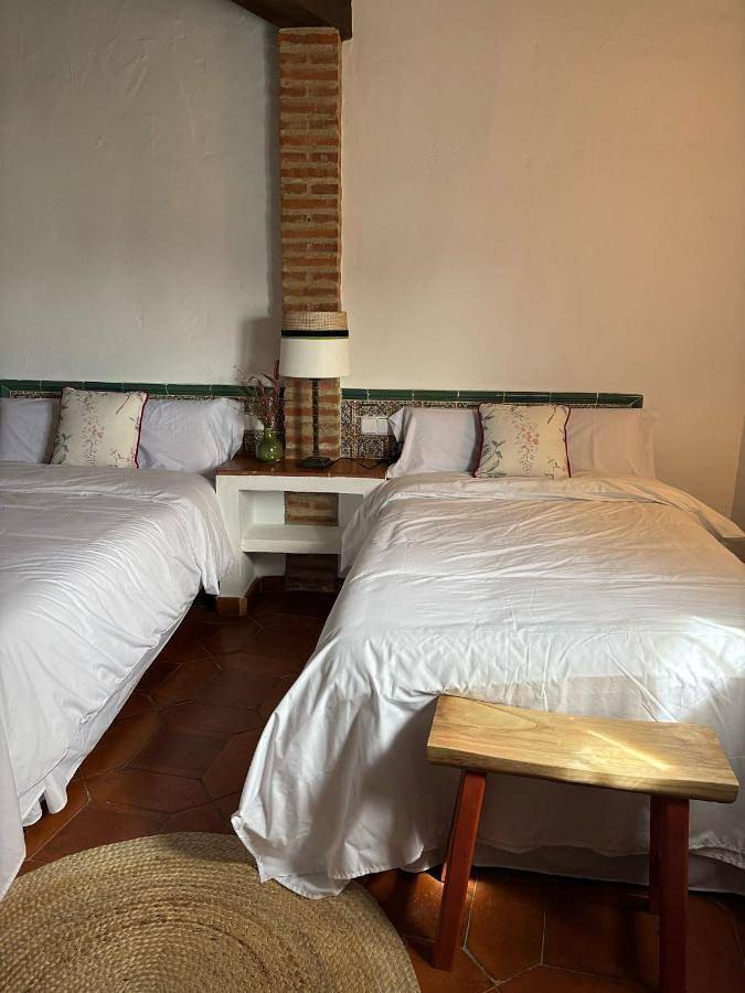 Hotel para 2 personas, con vistas al lago y jardín además de piscina y vistas, Se admiten mascotas en Provincia de Ciudad Real - 4