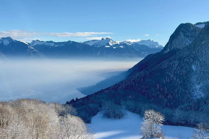Chalet pour 8 personnes, avec piscine à Thollon-les-Mémises