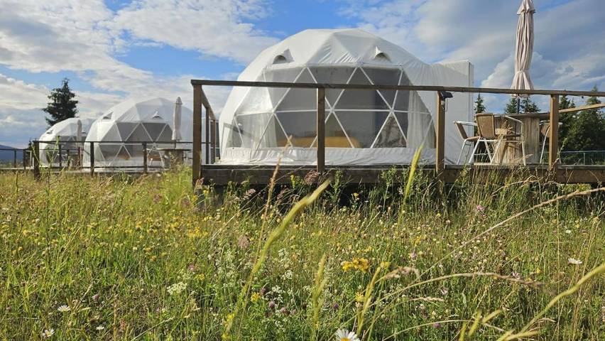 Glamping for 2 people, with terrace and view as well as garden, with pets in Romania