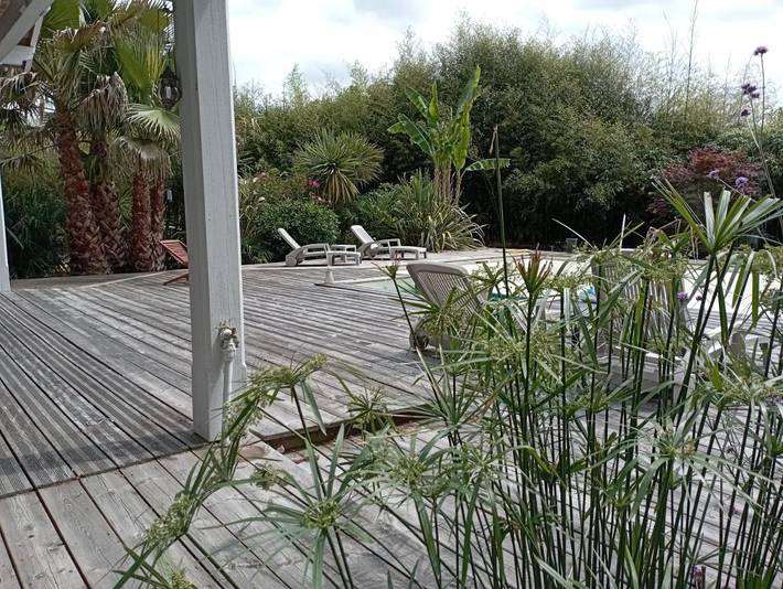 Location de vacances pour 6 personnes, avec piscine et jardin à Cantenac - 2