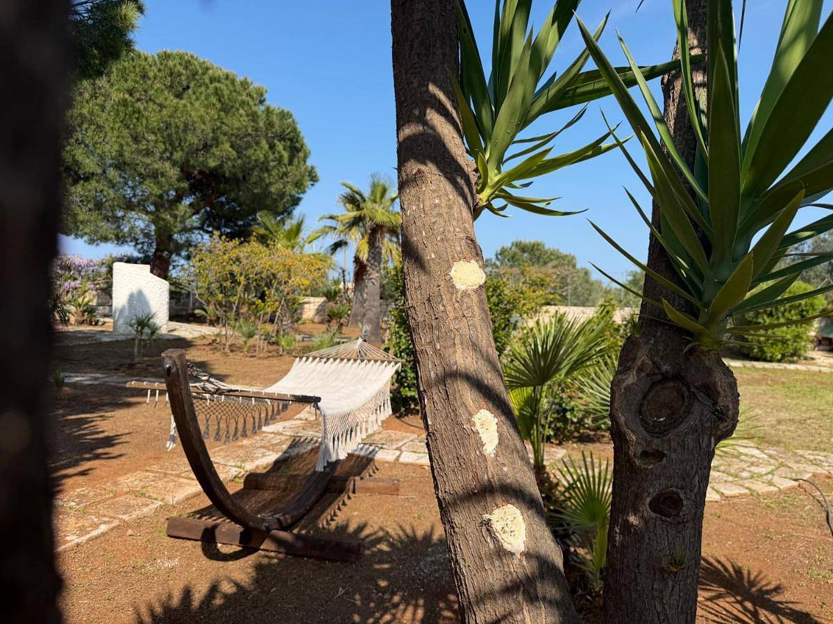 Villa Almandia, Capitolo, Monopoli in Capitolo, Monopoli