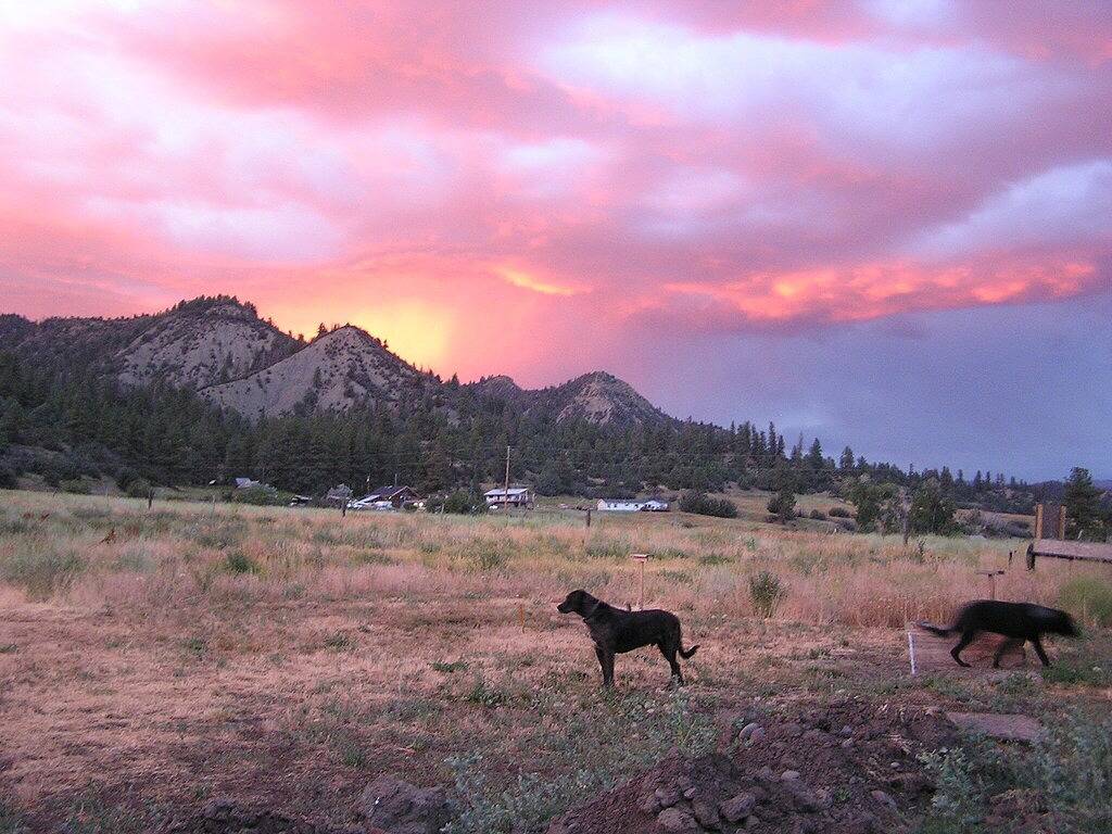 Riverfront Fun! Hintertürfischen! Haustierfreundlich!! Ansichten, Frieden & Ruhe !! in San Juan National Forest