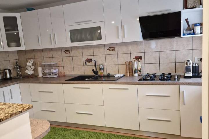 Location de vacances pour 10 personnes, avec terrasse ainsi que jardin et jacuzzi, animaux acceptés en Roumanie - 4