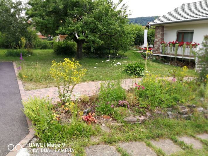 Location de vacances pour 6 personnes, avec jardin et terrasse, animaux acceptés à Wissembourg - 4
