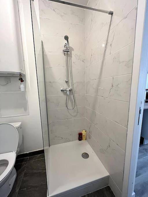 Appartement entier, Studio Apartment in Bourg-de-Péage, Région de Valence