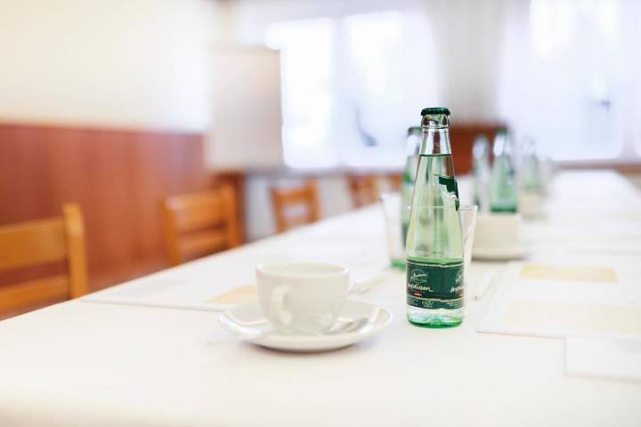 Hotel für 3 Personen, mit Terrasse und Garten in Lengenfeld - 4