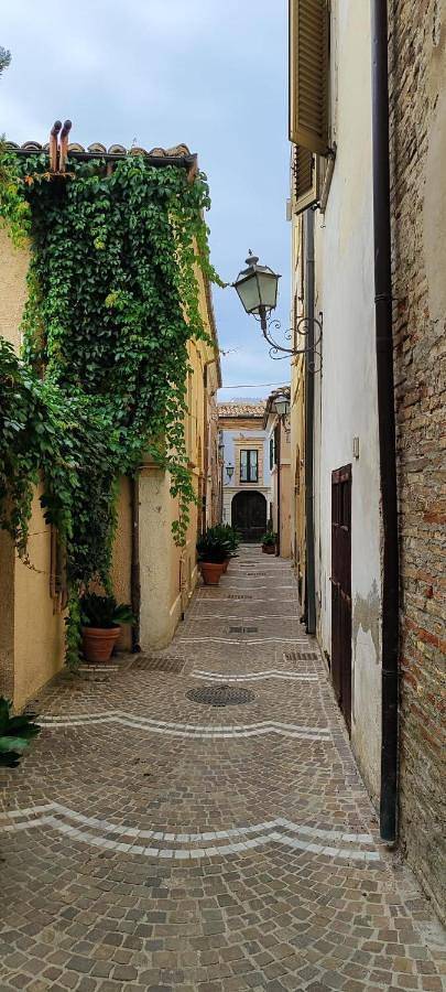 Chambre d’hôte pour 3 personnes, avec jardin ainsi que vue et piscine, animaux acceptés dans Abruzzes - 2