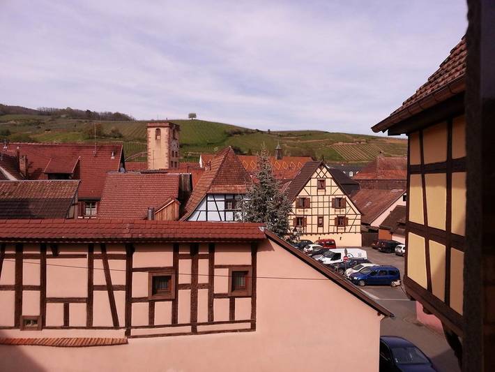 Gîte pour 2 personnes, avec vue à Ribeauvillé - 4