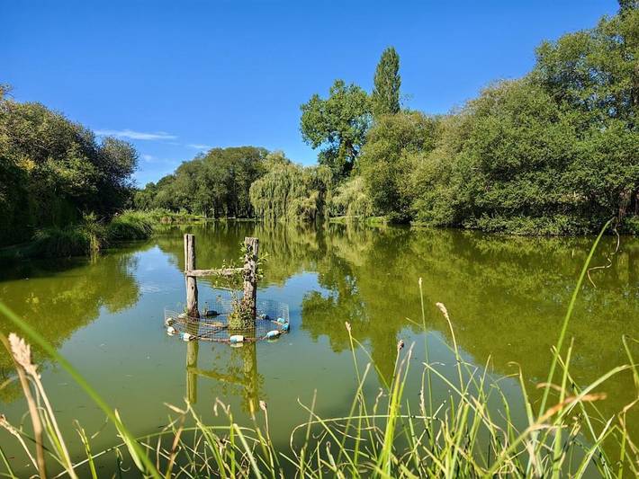 Location de vacances pour 4 personnes, avec Terrasse et Jardin à Acigné