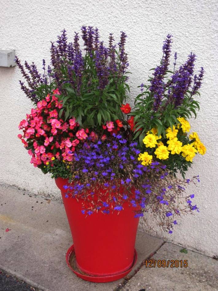 Hôtel pour 2 personnes, avec vue et jardin à Saint-Martin-sous-Vigouroux - 2